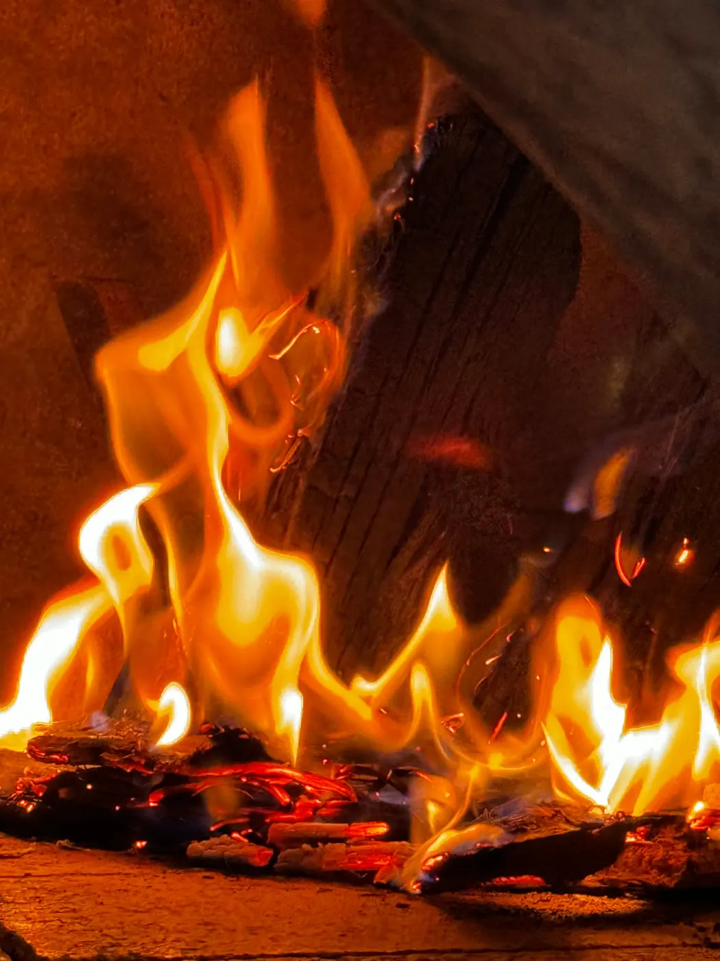 Logs burning in the wood-fired oven